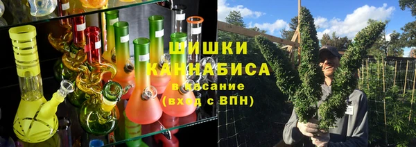 трава Новодвинск